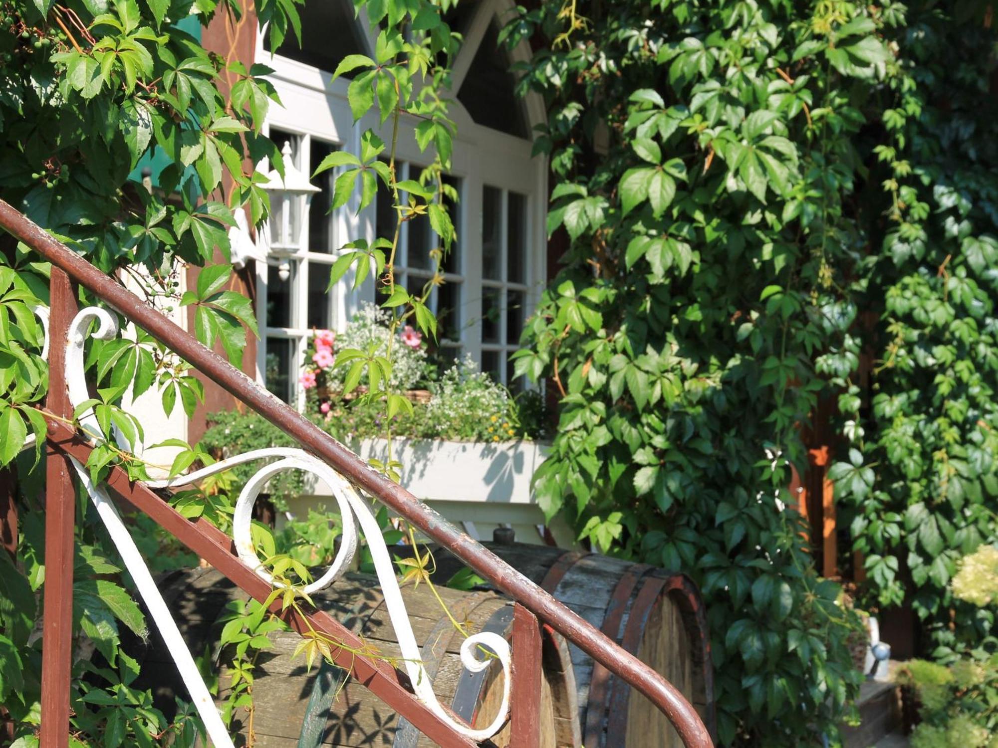 Landgasthof Und Hofmeister Guest house 4*